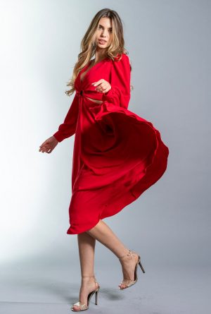 MAXANDRA DRESS