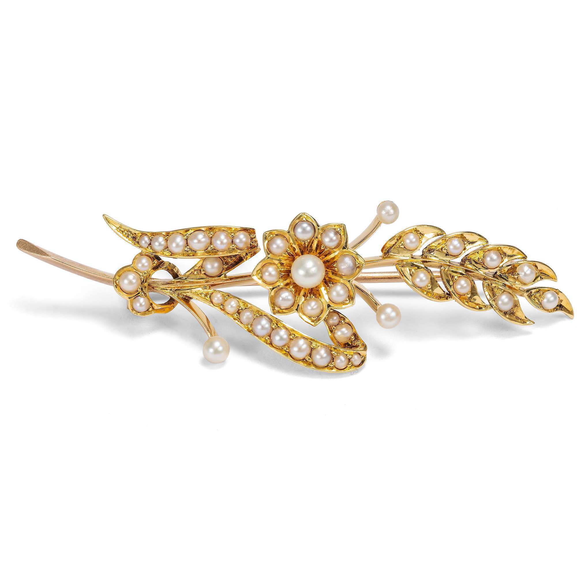 626843-hofer-antikschmuck-Antike-Brosche-mit-Perlen-in-Gold-Grossbritannien-um-1900-Sommergold